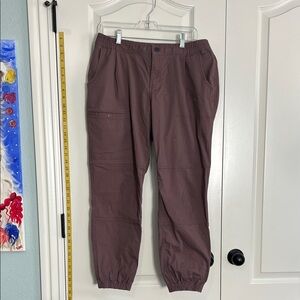Women’s Mountain Hardwear Elastic Cuff Pants in Plum, size 10/42